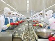 Mitsui mua cổ phần Minh Phú - Hậu Giang với giá 15.000 đồng/CP